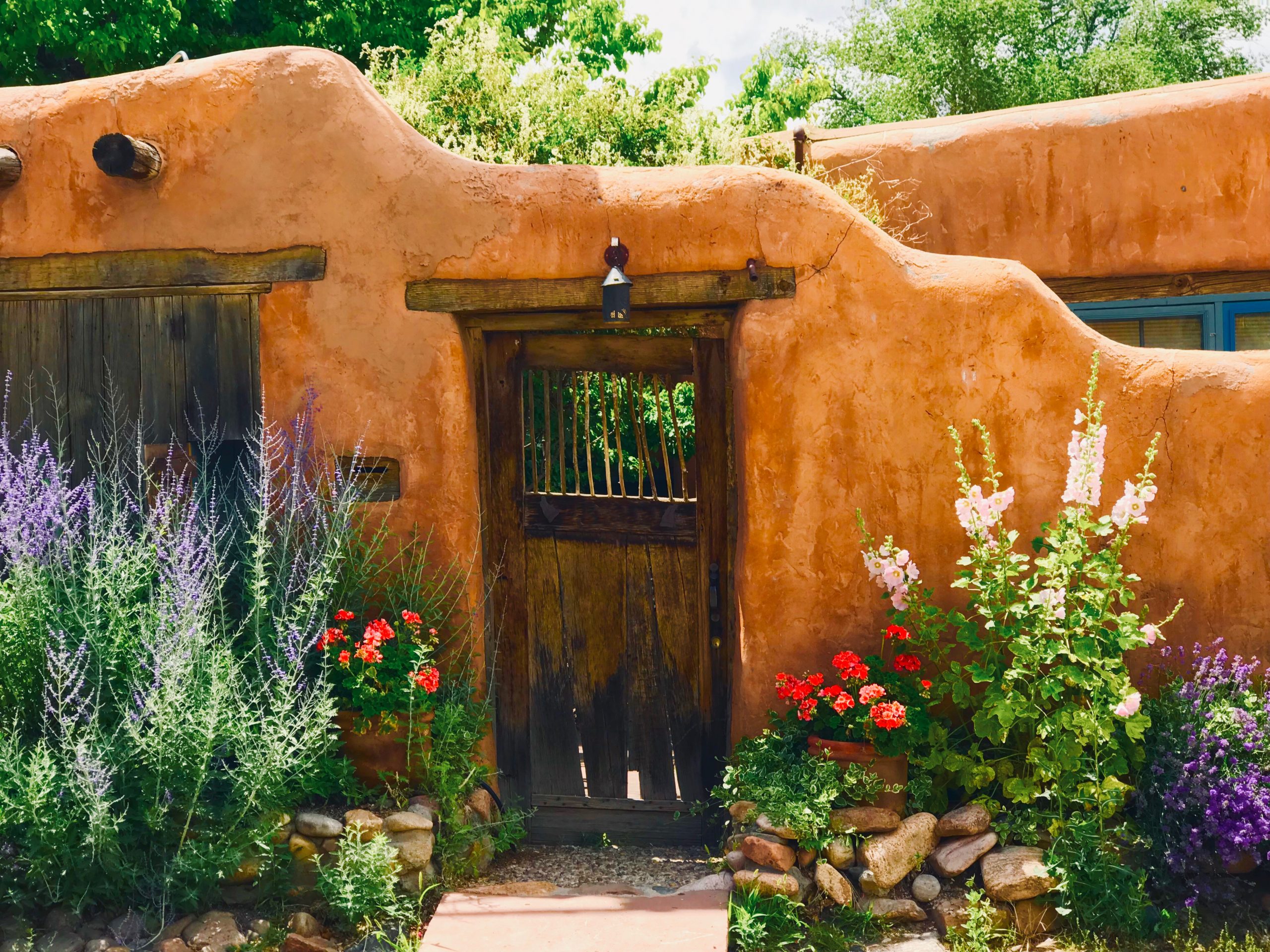 Essence of an Adobe Garden in New Mexico